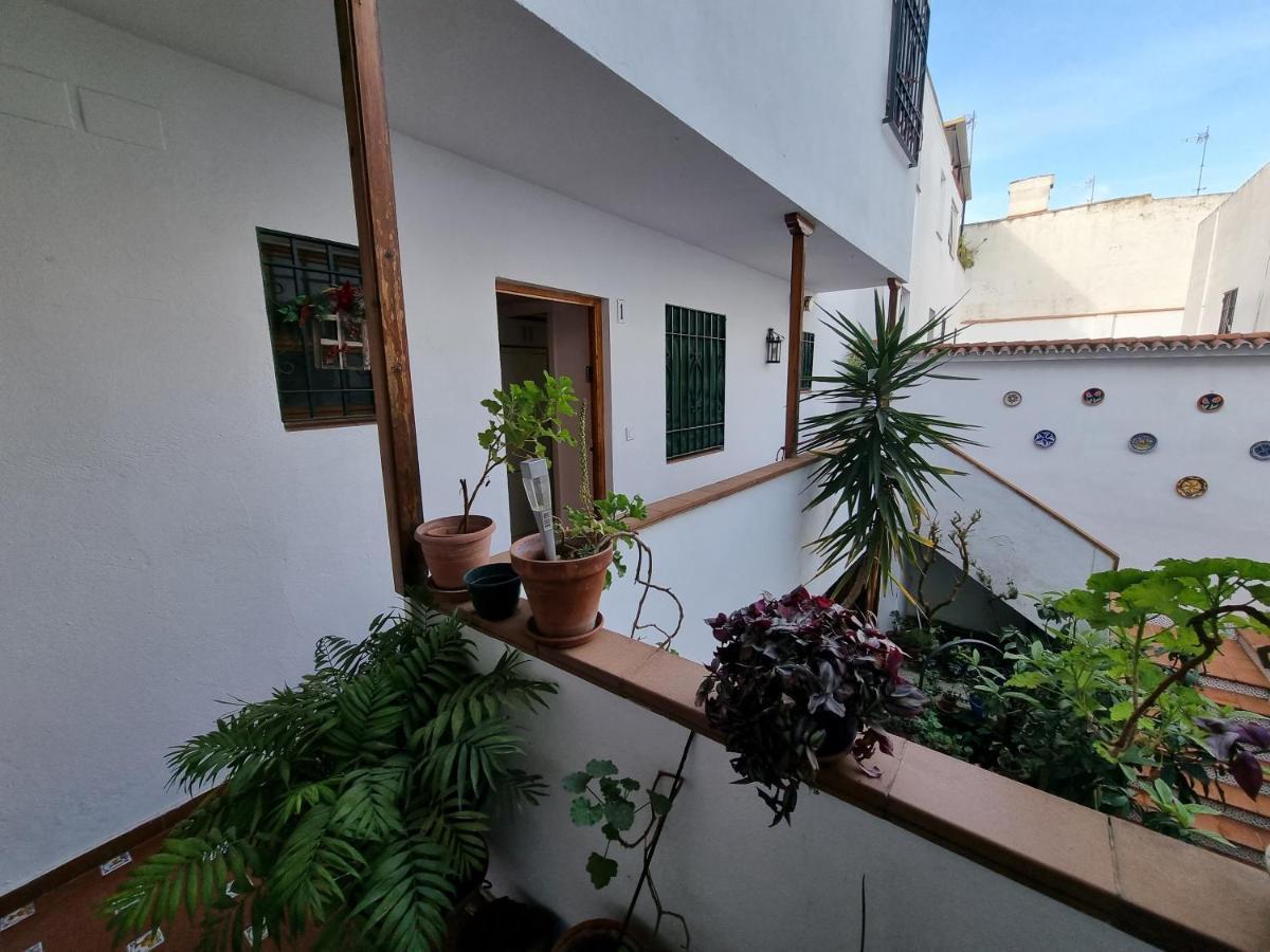 Appartamento Patio Cordobés San Basilio Cordova Esterno foto