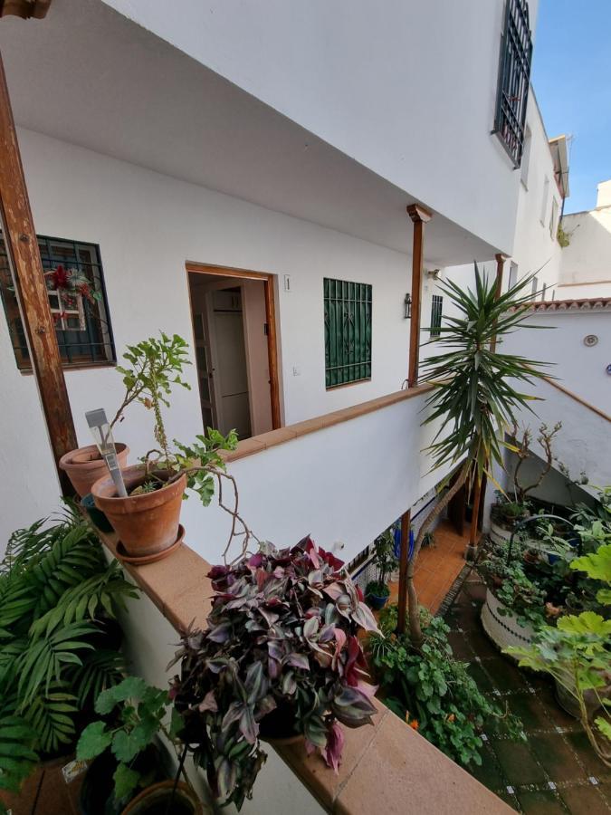 Appartamento Patio Cordobés San Basilio Cordova Esterno foto