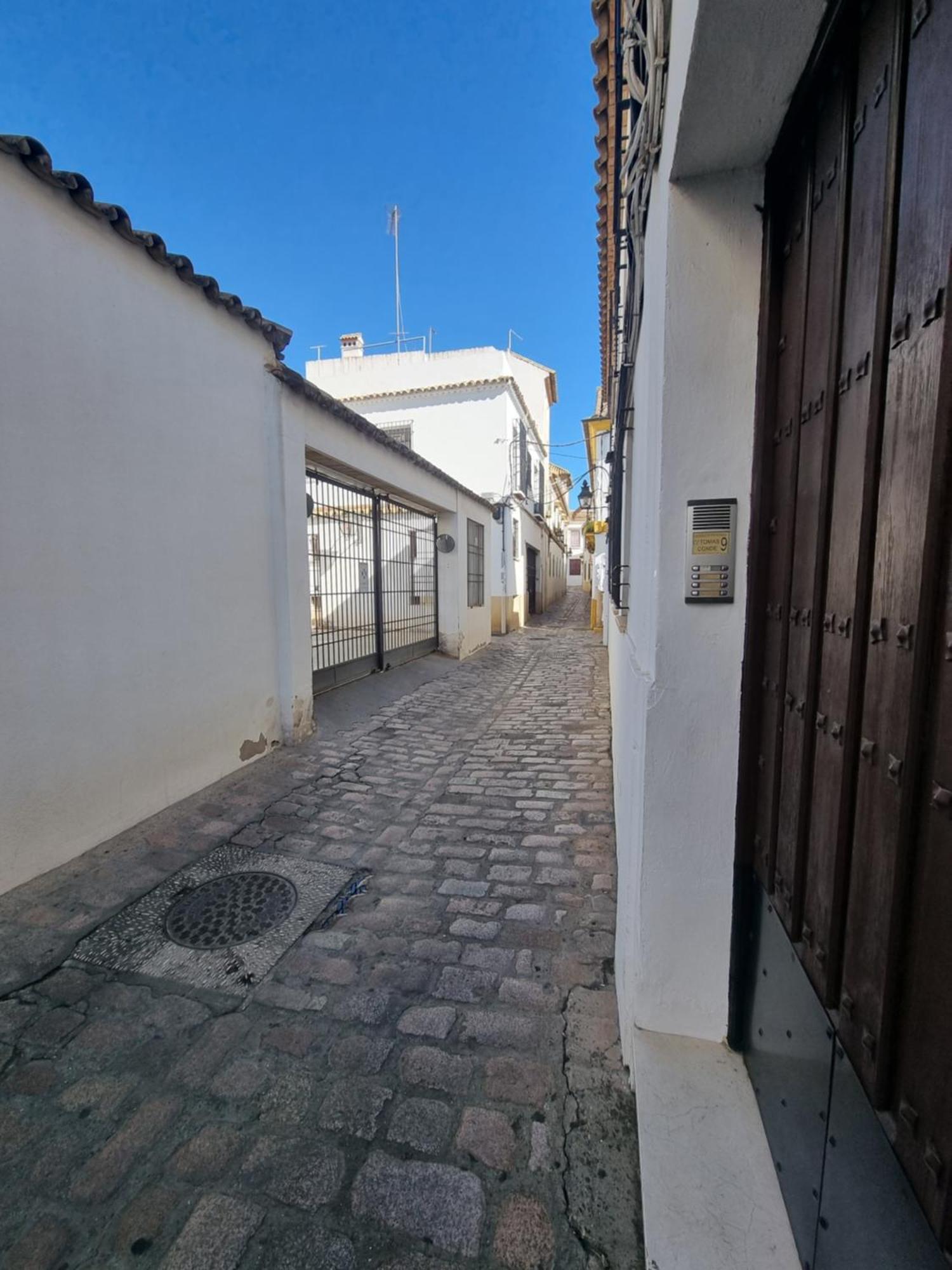 Appartamento Patio Cordobés San Basilio Cordova Esterno foto