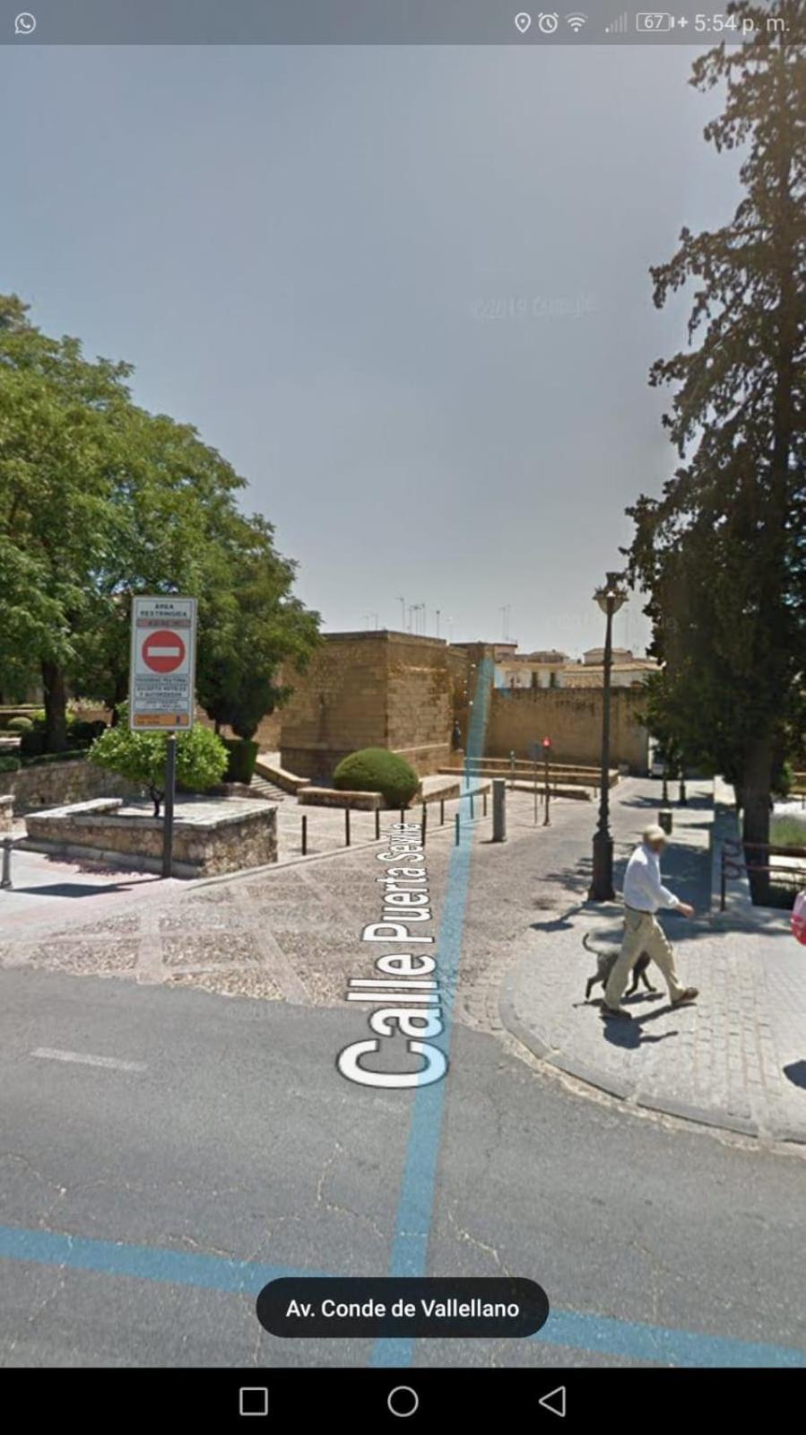 Appartamento Patio Cordobés San Basilio Cordova Esterno foto